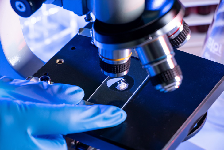 电子游戏下载app